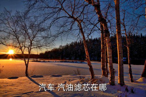 汽车 汽油滤芯在哪