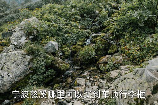 宁波市汽配城