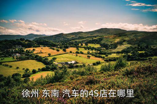 徐州 东南 汽车的4S店在哪里