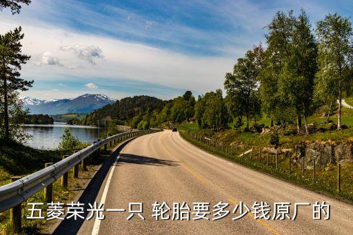  五菱荣光一只 轮胎要多少钱原厂的