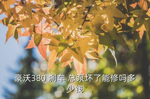 豪沃380 刹车 总泵坏了能修吗多少钱