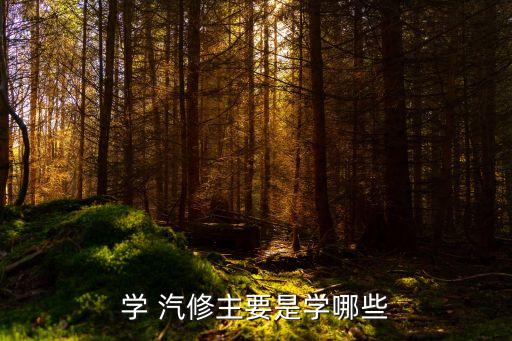 汽修专业技能素养,学生汽修专业技能素养报告