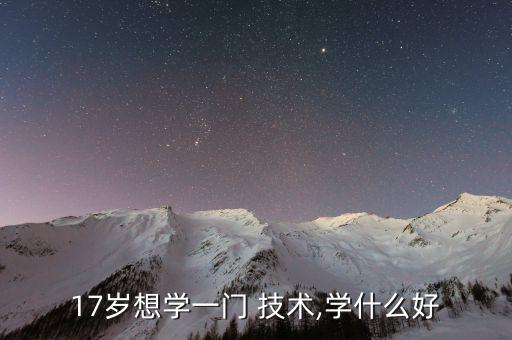 17岁想学一门 技术,学什么好