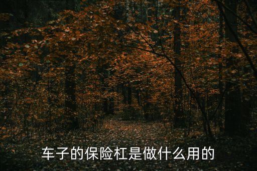车子的保险杠是做什么用的