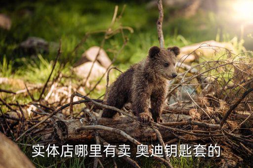 实体店哪里有卖 奥迪钥匙套的