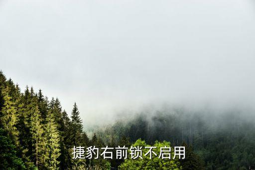  捷豹右前锁不启用