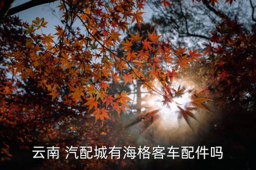 云南 汽配城有海格客车配件吗