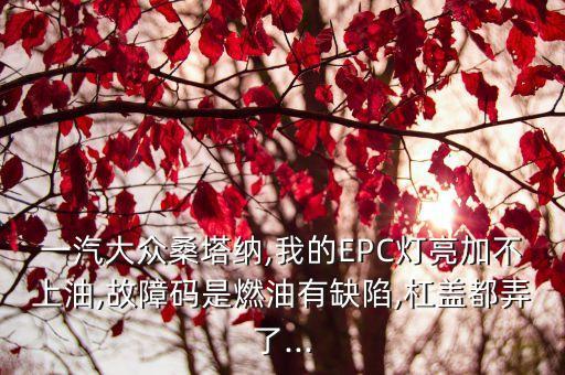 一汽大众桑塔纳,我的EPC灯亮加不上油,故障码是燃油有缺陷,杠盖都弄了...