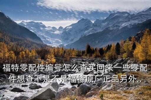 福特零配件编号怎么查买回来一些零配件想查下是不是福特原厂正品另外...