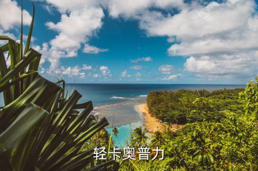 大运轻卡奥普力