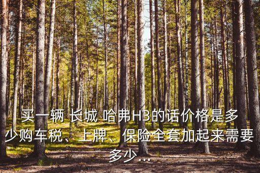 买一辆 长城 哈弗H3的话价格是多少购车税、上牌、保险全套加起来需要多少...