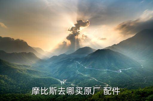 摩比斯去哪买原厂 配件