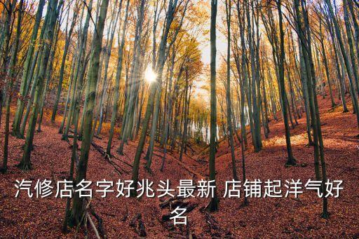 汽修店名字好兆头最新 店铺起洋气好名