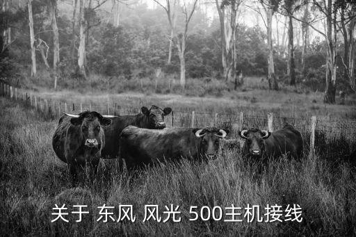 关于 东风 风光 500主机接线