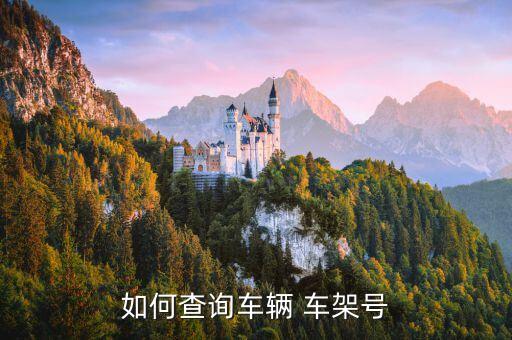 如何查询车辆 车架号