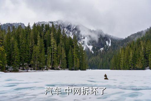 汽车 中网拆坏了