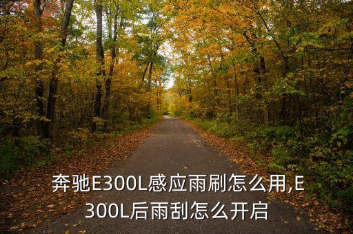 奔驰E级雨刮器在哪里,奔驰e系列全部车型价格