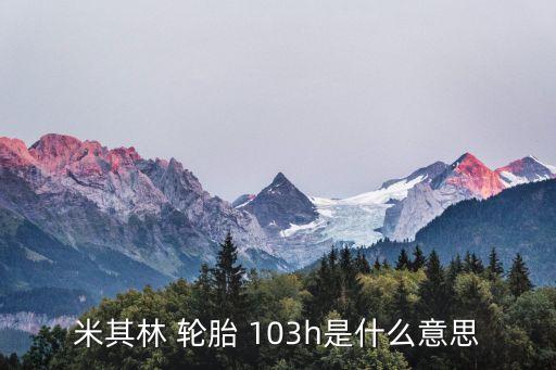 轮胎107h和103h有什么不同