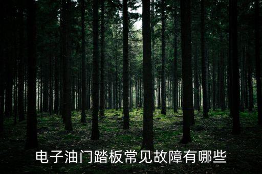 电子油门踏板常见故障有哪些