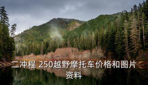 川马250的配件价格