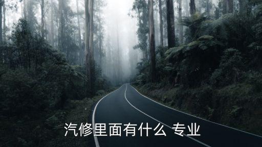  汽修里面有什么 专业