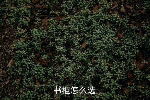 书柜怎么选