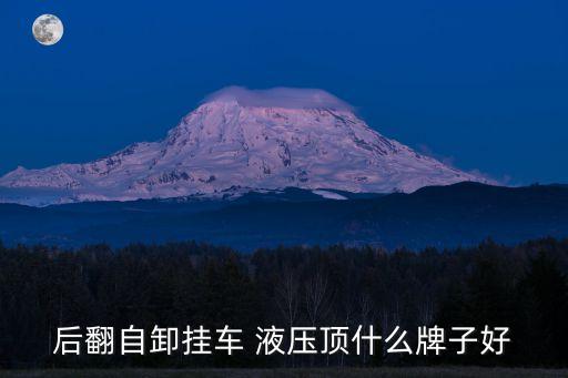 轻卡液压方向机什么品牌好,轻卡方向机加什么油