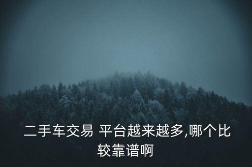 哪家二手车平台最可靠,口碑最好的二手车平台