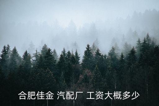 合肥佳金 汽配厂 工资大概多少