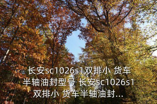  长安sc1026s1双排小 货车半轴油封型号 长安sc1026s1双排小 货车半轴油封...