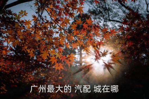 广州最大的 汽配 城在哪