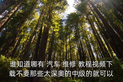 谁知道哪有 汽车 维修 教程视频下载不要那些太深奥的中级的就可以
