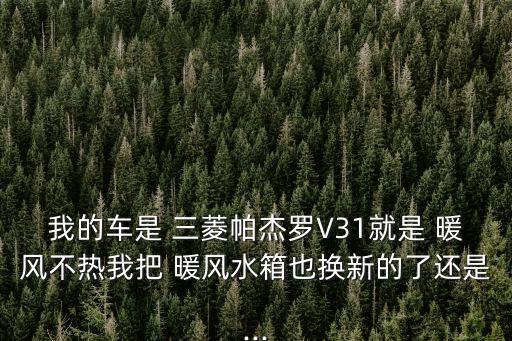 我的车是 三菱帕杰罗V31就是 暖风不热我把 暖风水箱也换新的了还是...