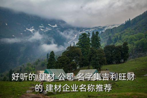 建材公司取名字大全免费查询,个体户建材经营取名