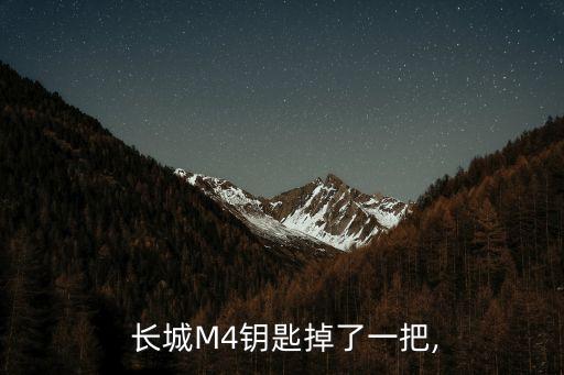  长城M4钥匙掉了一把,