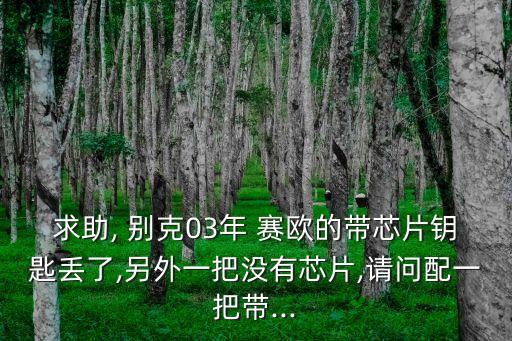 求助, 别克03年 赛欧的带芯片钥匙丢了,另外一把没有芯片,请问配一把带...