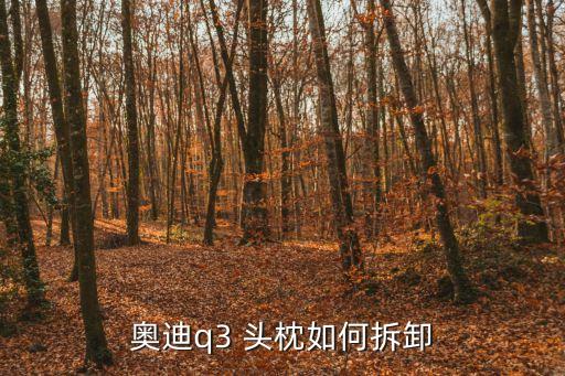 奥迪q3 头枕如何拆卸