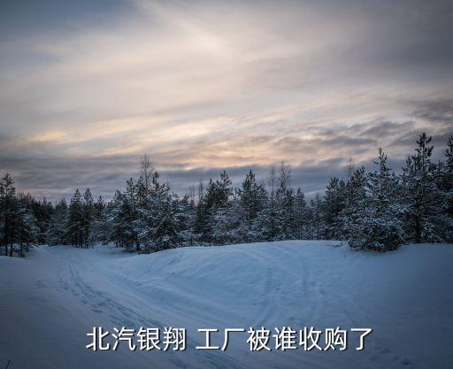  北汽银翔 工厂被谁收购了