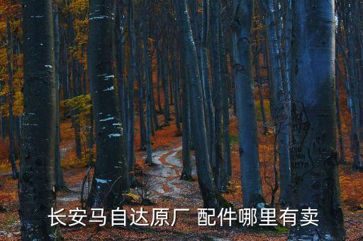  长安马自达原厂 配件哪里有卖