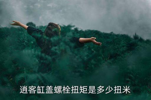 逍客缸盖螺栓扭矩是多少扭米