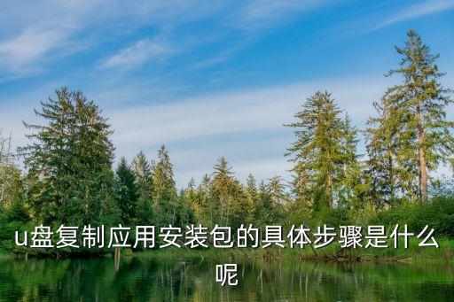 u盘复制应用安装包的具体步骤是什么呢