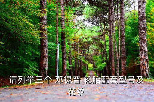 请列举三个 邓禄普 轮胎配套型号及花纹