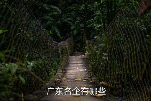  广东名企有哪些