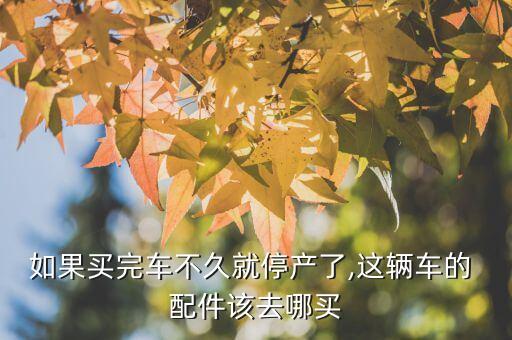 如果买完车不久就停产了,这辆车的 配件该去哪买