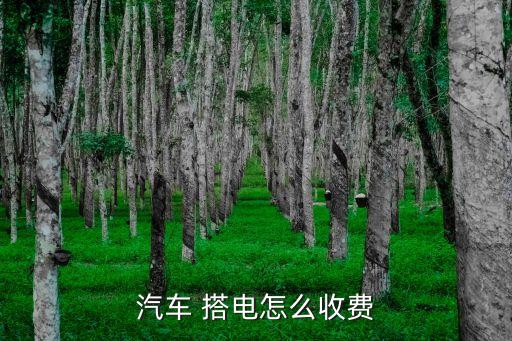 汽车 搭电怎么收费
