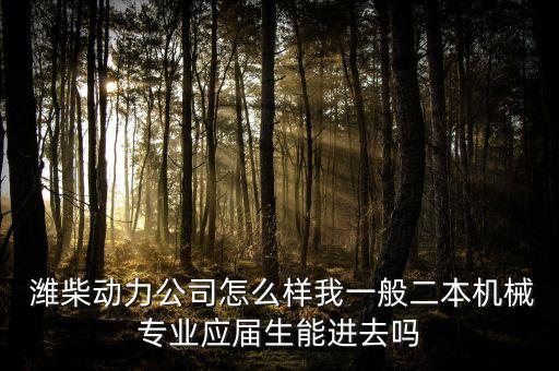  潍柴动力公司怎么样我一般二本机械专业应届生能进去吗