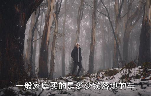一般家庭买的是多少钱落地的车
