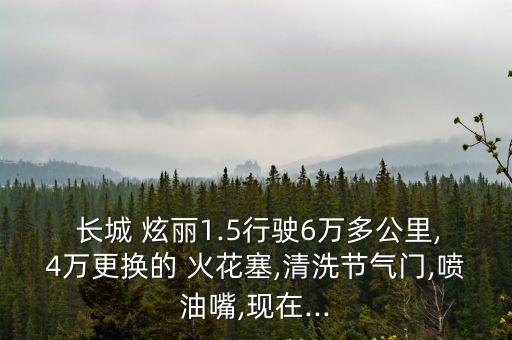  长城 炫丽1.5行驶6万多公里,4万更换的 火花塞,清洗节气门,喷油嘴,现在...
