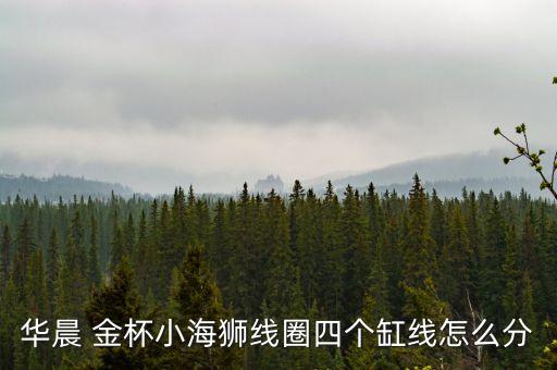 金杯高压线怎么插,金杯t32高压线顺序