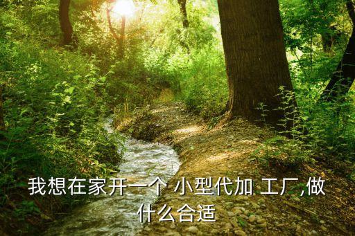 小型代加工工厂创业项目,大量订单急需加工厂